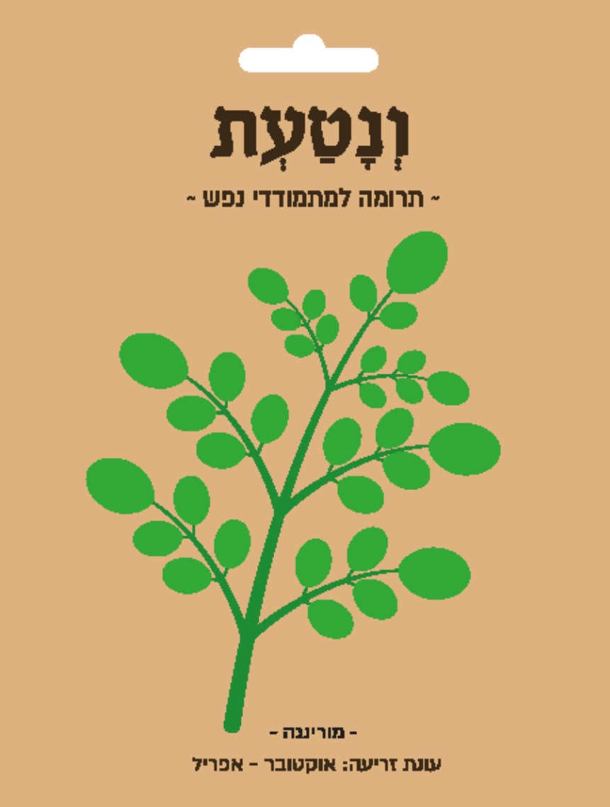 זרעים 3
