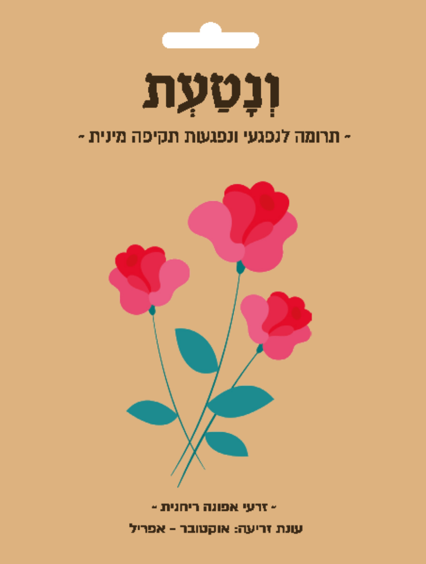 זרעים 6