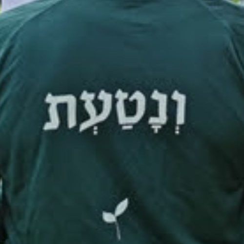 Picture of ליקוט חוויות מצוות ונטעת 